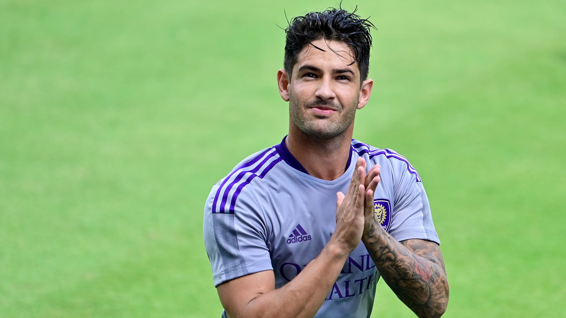 Pato