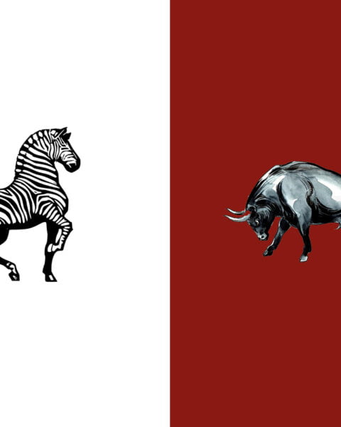 Juventus v Torino