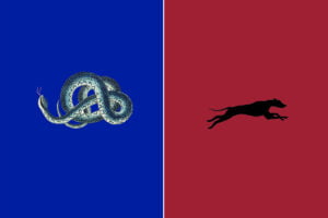 Bologna v Inter Match Preview, scouting and predictions