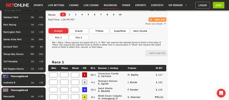BetOnline horse racing betting markets and odds