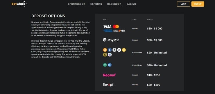 BetWhale payment methods