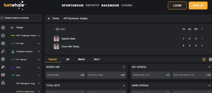 BetWahle - top rated sportsbook for betting on tennis