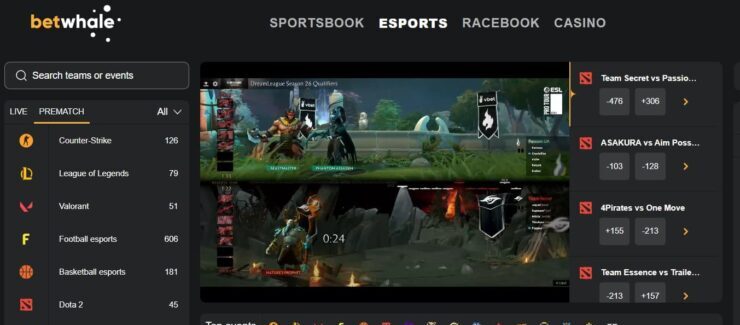 betwhale esports odds