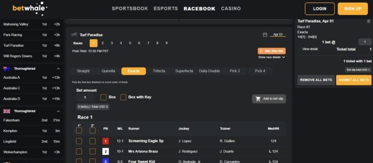 BetWhale racebook - top rated horse racing betting site