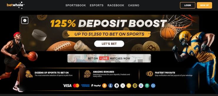betwhale welcome bonus