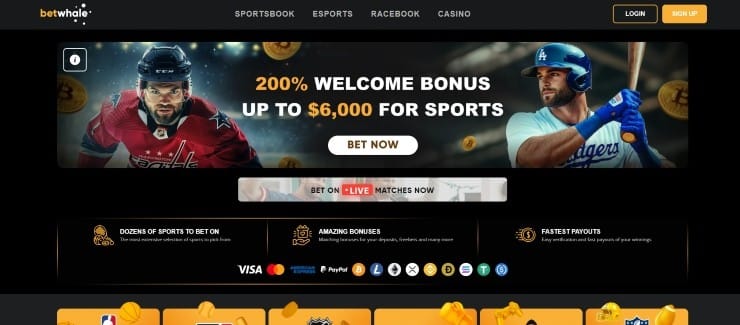 BetWhale - overall best site for sports betting in Montana