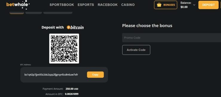 BetWhale make a deposit form