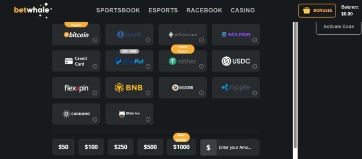 BetWhale deposit options