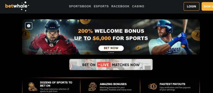 BetWhale welcome bonus offer