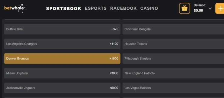 BetWhale - the best site for sports betting in Montana