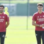 Parma hire Mikel Arteta's Arsenal assistant Carlos Cuesta as new head coach