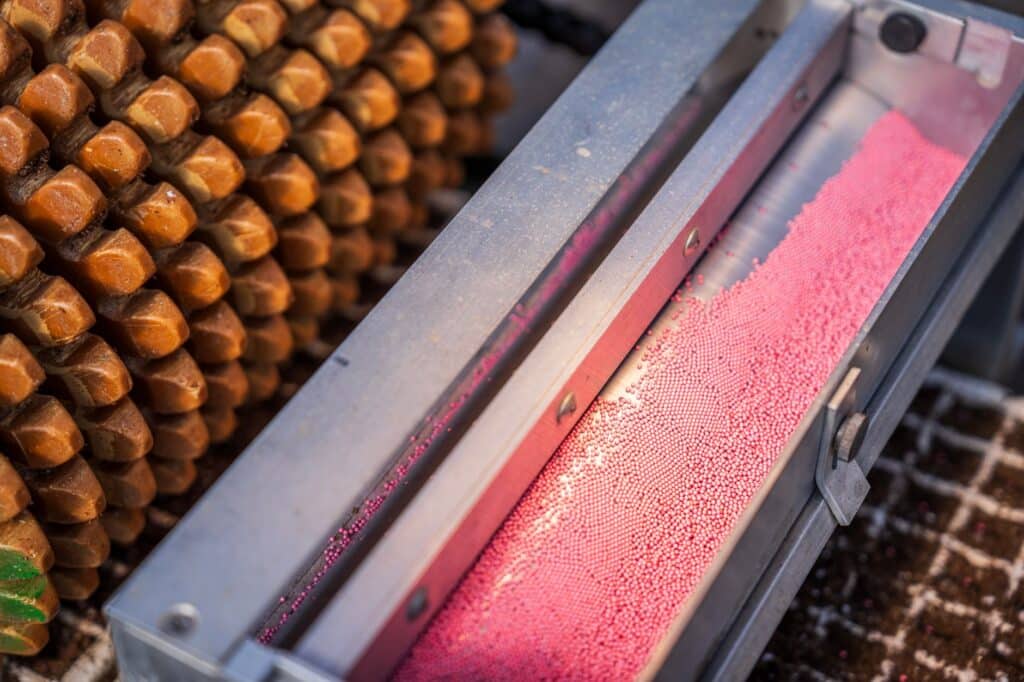 Close-up of colorful lottery balls inside a drawing machine