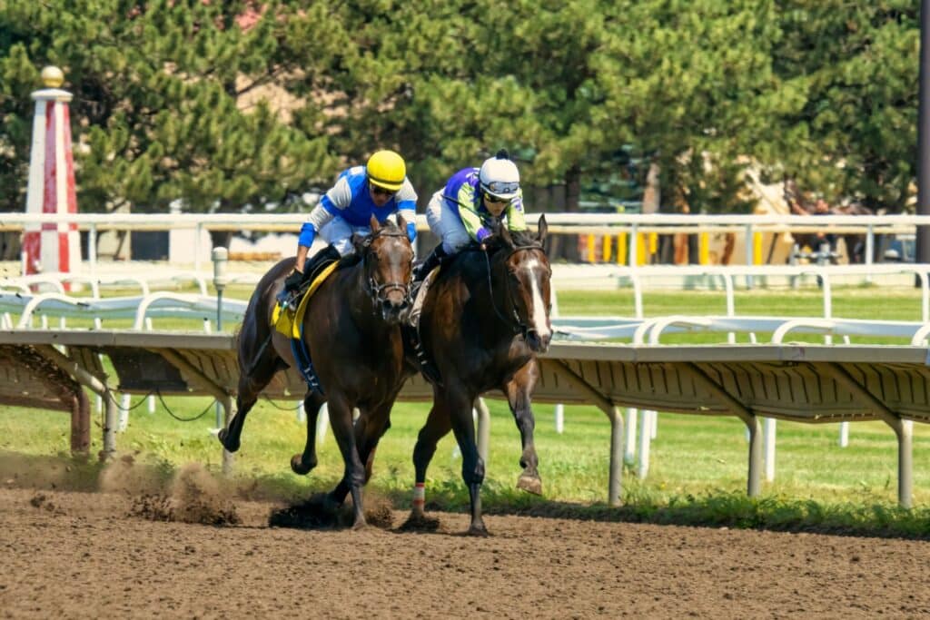 Horses racing on a dirt track during a daytime race