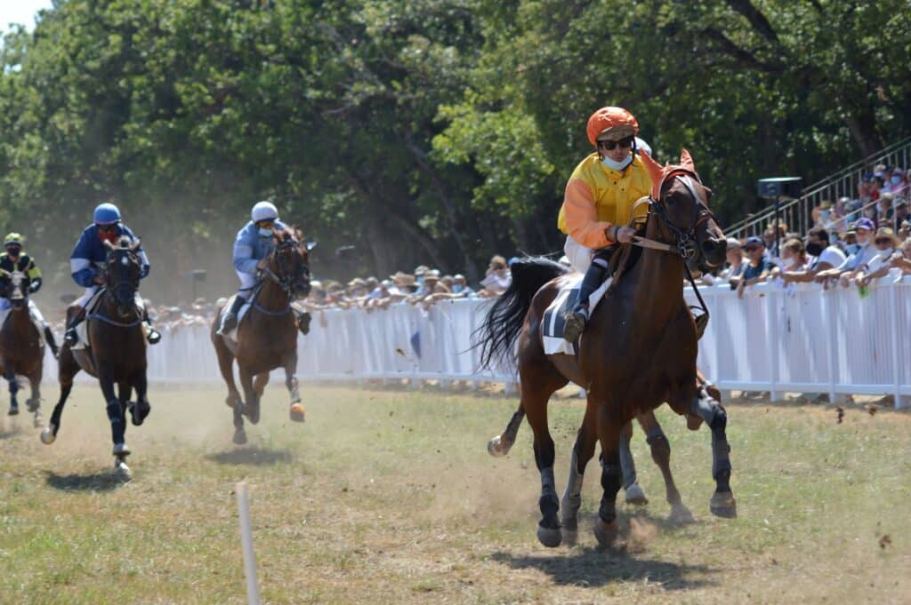 Horses racing on a track during a daytime event