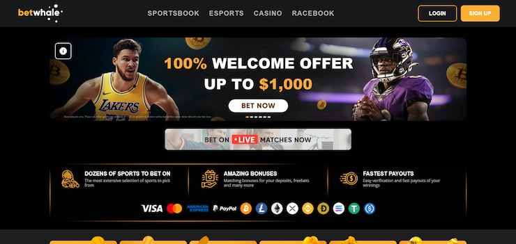 Step 1: Choose your online casino bonus