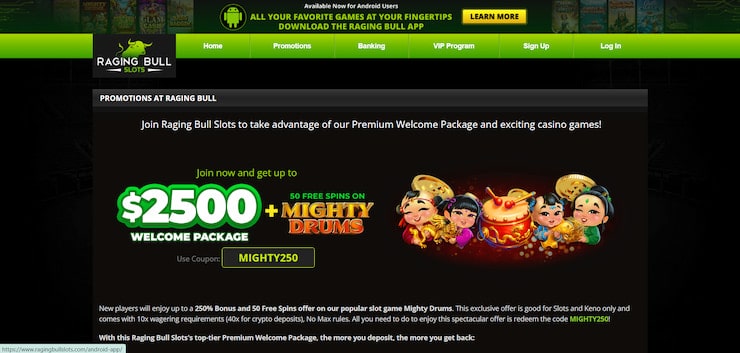 Raging Bull Casino Bonuses Interface