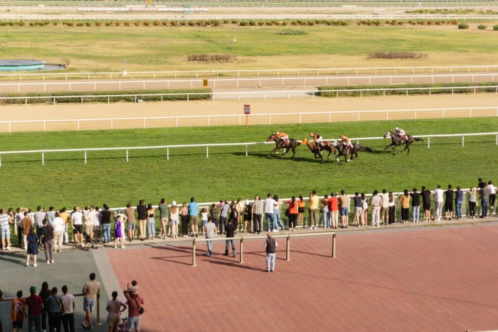 Horses racing on a track during a professional race