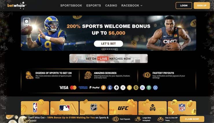 A snapshot of BetWhale landing page on a desktop device.