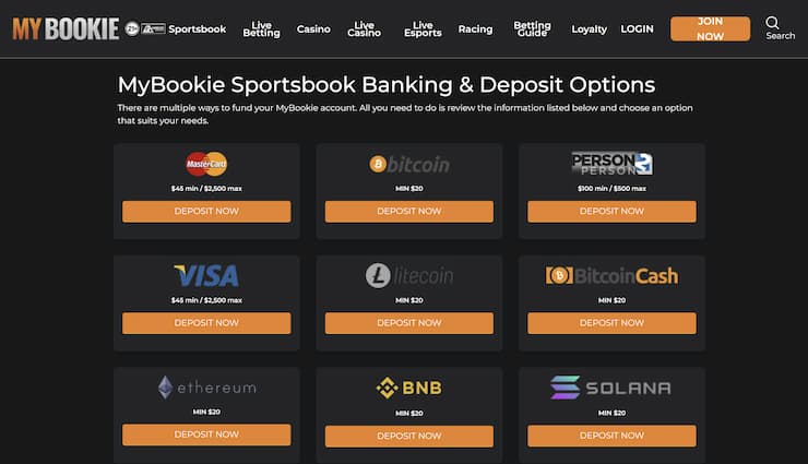 An overview of banking options at MyBookie.