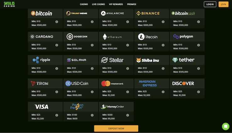 An image showing payment services at Wild Casino.