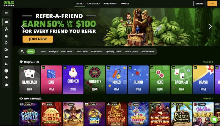 Wild Fortune Casino Interface Overview