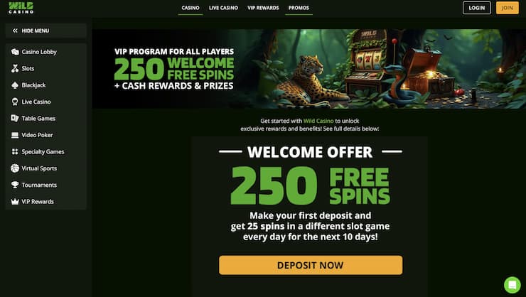 A look at Wild Casino welcome bonus we checked for our Wild Casino review.
